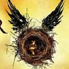 VIDEO: Holders of Re-Sold Tickets Being Denied Entry To HARRY POTTER AND THE CURSED…