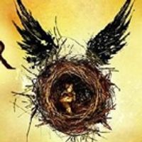 VIDEO: Holders of Re-Sold Tickets Being Denied Entry To HARRY POTTER AND THE CURSED… Video