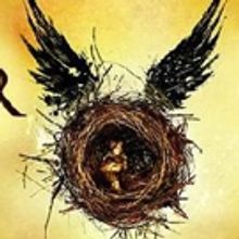 VIDEO: Holders of Re-Sold Tickets Being Denied Entry To HARRY POTTER AND THE CURSED CHILD