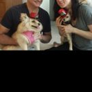 Photo Flash: Broadway Pups Celebrate BROADWAY BARKS Birthdays