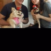 Photo Flash: Broadway Pups Celebrate BROADWAY BARKS Birthdays