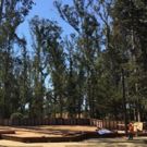 Santa Cruz Shakespeare Raises $1.1 Million for New Outdoor Theater