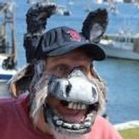 BWW Review: A 'Midsummer' to End All Summers Photo