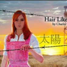 BWW Review: Texas Rep Premiere HAIR LIKE THE SUN Exquisitely Explores Life in WWII In