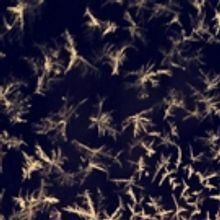 BWW Blog: Emma Mueller - Let the Chips Fall Where They May