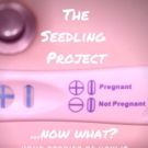 Partly Cloudy People's THE SEEDLING PROJECT to Tackle Unplanned Pregnancy at The PIT…