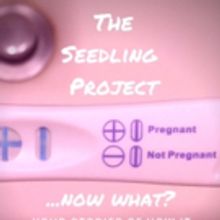 Partly Cloudy People's THE SEEDLING PROJECT to Tackle Unplanned Pregnancy at The PIT…