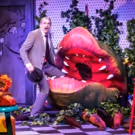 BWW Review: LITTLE SHOP OF HORRORS at Playhouse On Park