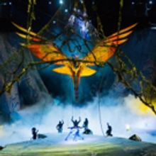 Laura Silverman on Cirque du Soleil TORUK