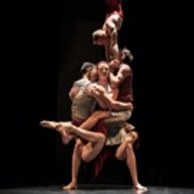 Award-Winning CASUS CIRCUS Wows Audiences at the Adelaide Fringe Festival