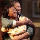 Viola Davis to Compete in Best Supporting Actress Category for FENCES Adaptation