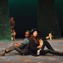 Photo Flash: First Look at Michigan Shakespeare Festival's AS YOU LIKE IT