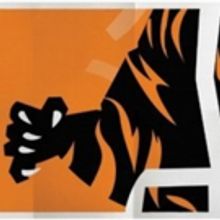 BWW REVIEW: Bizarre And Bold, BENGAL TIGER AT THE BAGDAD ZOO Contemplates The Meaning