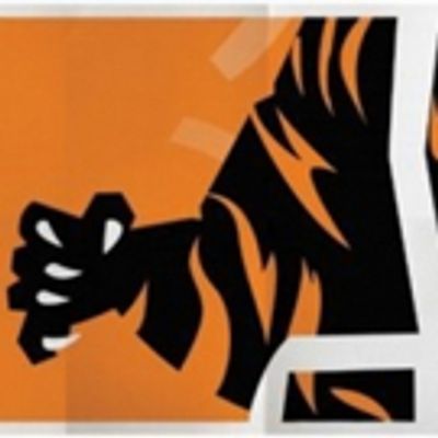 BWW REVIEW: Bizarre And Bold, BENGAL TIGER AT THE BAGDAD ZOO Contemplates The Meaning Of Life In A Society Riddled With Conflict And Contradictions.