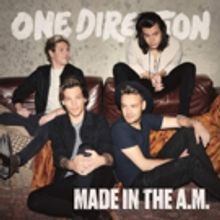One Direction, Taylor Swift, Justin Bieber & More Among Top 2016 Radio Disney Music Awards Nominees