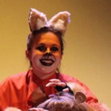 The Playhouse Proudly Presents Roald Dahl's FANTASTIC MR. FOX