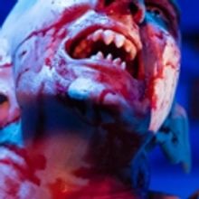 BWW Review: Farcical BAT BOY THE MUSICAL is a Blood-Sucking 'Hoot' at Blank Canvas