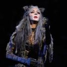 Andrew Lloyd Webber Reveals Nicole Scherzinger Backed Out of CATS on Broadway: 'I'm Furious'