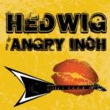 HEDWIG, THE FOREIGNER and TAKE IT WITH YOU Slated for The Underground This Month