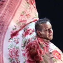 BWW Review: COMPAÑÍA MANUEL LIÑÁN Brings an Exciting Flamenco Program to City Cen