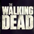 AMC's THE WALKING DEAD Closes Season as No. 1 Show on TV for 4th Year in a Row