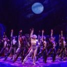 Photo Flash: Jellicle CATS Come out Tonight - First Look at the Broadway Revival!