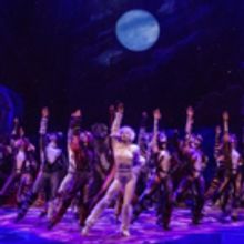Photo Flash: Jellicle CATS Come out Tonight - First Look at the Broadway Revival!