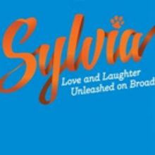 Every Dog Has Its Day! Broadway's SYLVIA Begins Previews Tonight