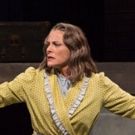 BWW Review: DEATH OF A SALESMAN Effects Spring Green
