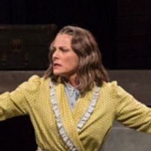 BWW Review: DEATH OF A SALESMAN Effects Spring Green
