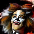 BWW Preview: Columbus Children's Theatre's CATS to Bring New Interpretation of the…