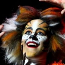 BWW Preview: Columbus Children's Theatre's CATS to Bring New Interpretation of the Po