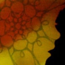 Night Shade Unveils SECRET OF THE SPIDER at Third Rail