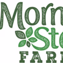 Prepare To Be Bowled Over: MorningStar Farms' Introduces Five New Flavor…