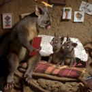Media Design School to Screen Short Film at SXSW Festival