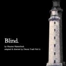 Experimental Work BLIND to Reexamine the 'Left' in the Age of Trump at TNC