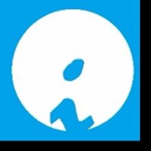 Chicago Inclusion Project Announces Casting for Next Reading