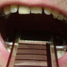 International Puppet Acts and Artists Coming to Chicago in 2017