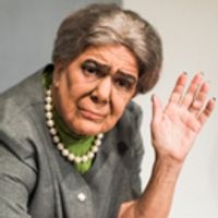 BWW Review: GOLDA'S BALCONY at Triangle Productions: Read Your History Before You Go Photo