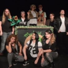 BWW Review: SoLuna's LITTLE SHOP OF HORRORS