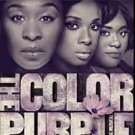 THE COLOR PURPLE, Starring Cynthia Erivo, Jennifer Hudson and More, Begins Previews…