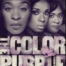 THE COLOR PURPLE, Starring Cynthia Erivo, Jennifer Hudson and More, Begins Previews…
