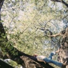 Tift Merritt Premieres 'Icarus' Video on CMT + On Tour Now
