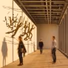 New for Summer 2016: Must-See Museums and Galleries