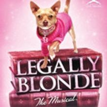South Bend Civic Theatre Presents LEGALLY BLONDE THE MUSICAL