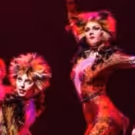 BWW Review: Charming CATS Revival Is Packed With Terrific Performances