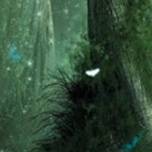 SOGNO DI UNA NOTTE DI MEZZA ESTATE - Il musical Teatro Lauro Rossi