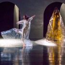 Shen Wei's NEITHER to Make World Premiere at BAM This Fall