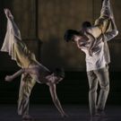 Cherylyn Lavagnino Dance Returning to NYU/Tisch in June