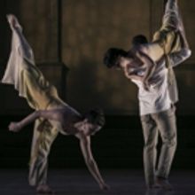 Cherylyn Lavagnino Dance Returning to NYU/Tisch in June